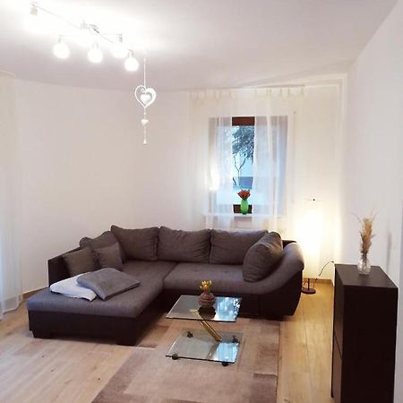 Ebenerdige Ferienwohnung Mit Grosser Terrasse In Der Naehe Des Waldes, Zum Wohlfuehlen Schoneck Екстериор снимка