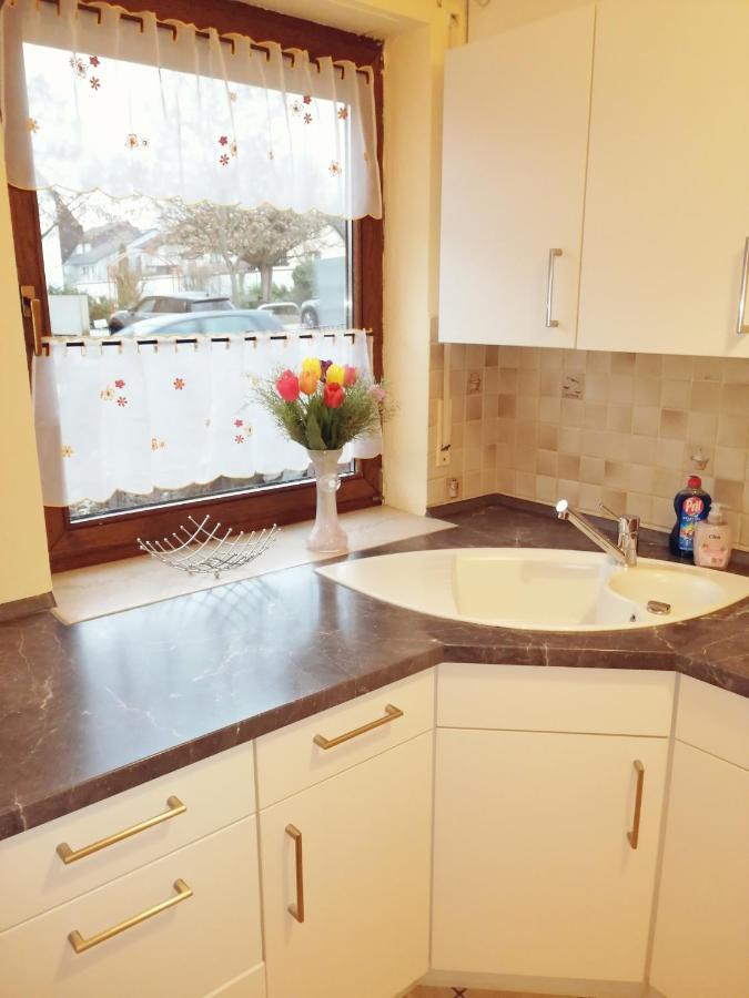 Ebenerdige Ferienwohnung Mit Grosser Terrasse In Der Naehe Des Waldes, Zum Wohlfuehlen Schoneck Екстериор снимка