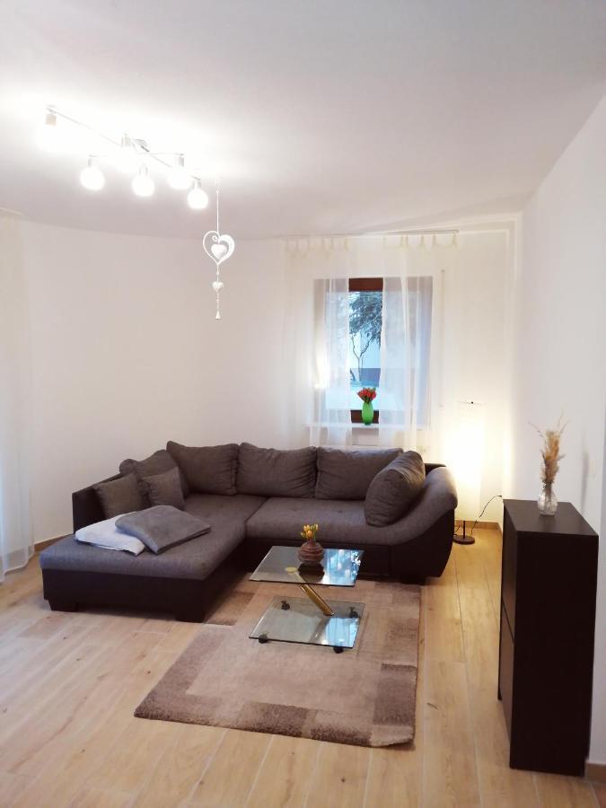 Ebenerdige Ferienwohnung Mit Grosser Terrasse In Der Naehe Des Waldes, Zum Wohlfuehlen Schoneck Екстериор снимка