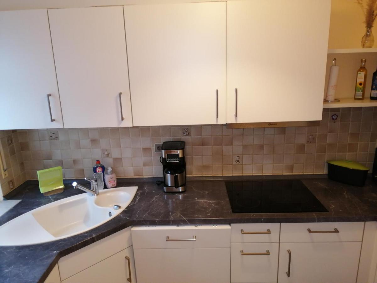 Ebenerdige Ferienwohnung Mit Grosser Terrasse In Der Naehe Des Waldes, Zum Wohlfuehlen Schoneck Екстериор снимка